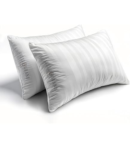 Amazon.com: Zisa Dreams Premium Down and Feather Pillow | for Best